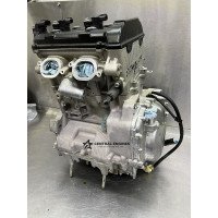 Arctic Cat Jaguar Z1 Bearcat OEM Engine Motor